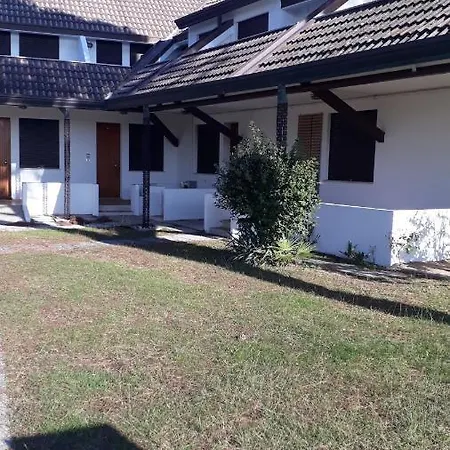 Sotto Il Pino 伊拉克里亚马勒