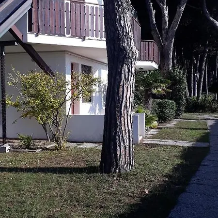 Sotto Il Pino *