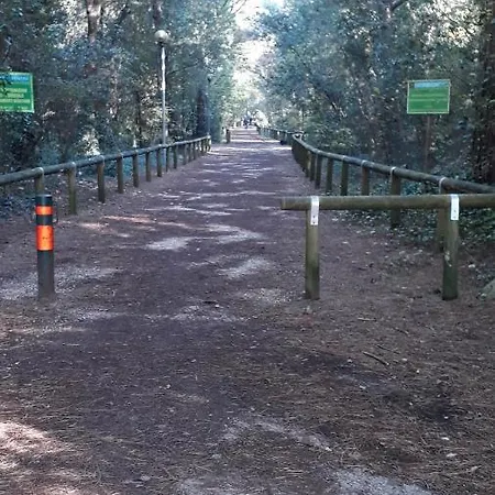 Sotto Il Pino * 伊拉克里亚马勒