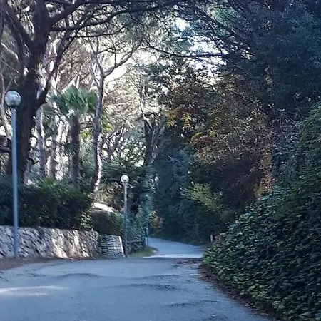 Sotto Il Pino 公寓
