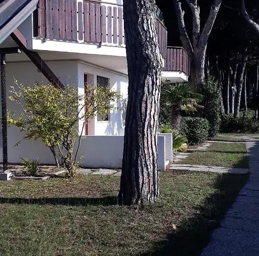 Sotto Il Pino *