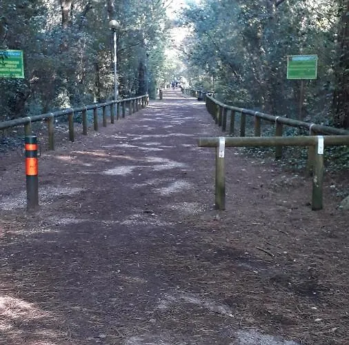 Sotto Il Pino * Eraclea Mare