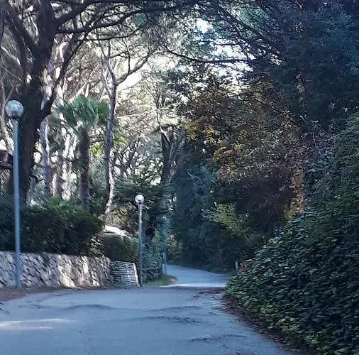 Sotto Il Pino Apartament