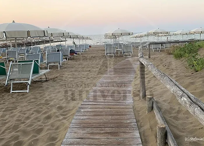 Sotto Il Pino *